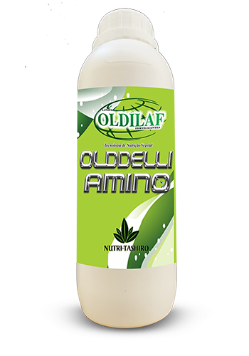 olddelli amino